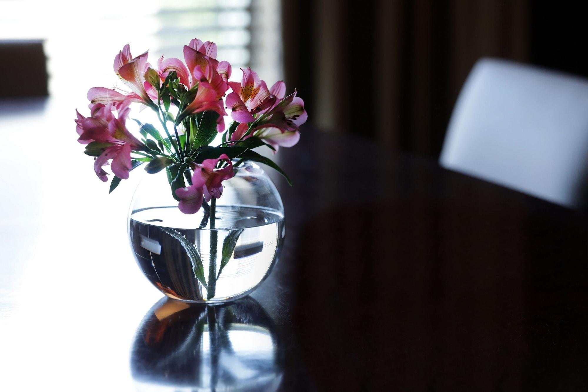 Park Hyatt Mendoza Hotel, Casino & Spa Exterior foto A flower vase